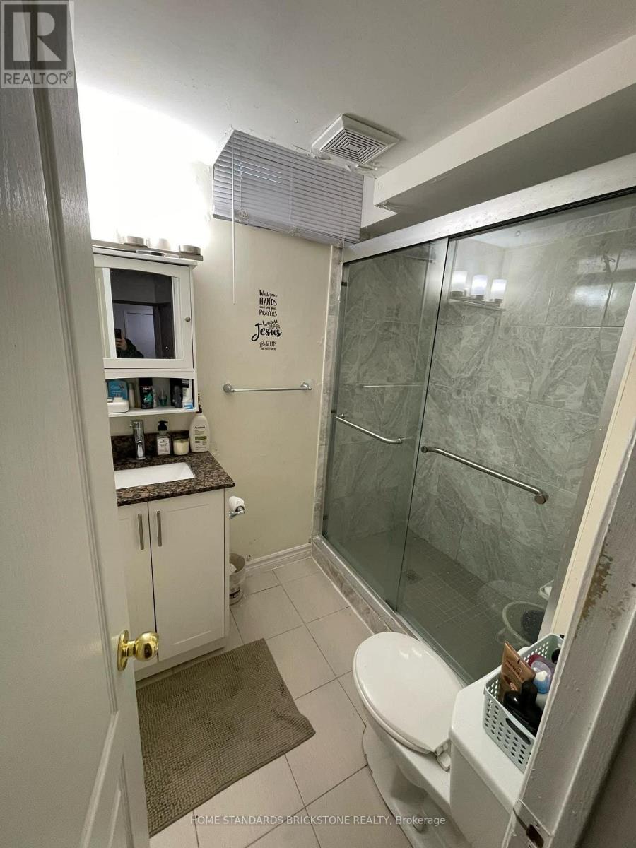 Basement - 267 Risebrough Circuit, Markham, Ontario  L3R 3J3 - Photo 23 - N12523660