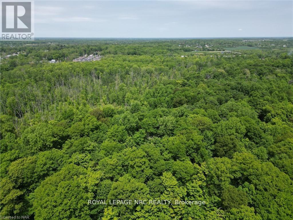 9 Sassafras Row, Fort Erie, Ontario  L0S 1N0 - Photo 33 - X12523902