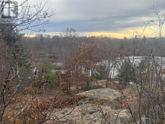 1146 Fourth Lake Road S, Frontenac, Ontario  K0H 2K0 - Photo 23 - X12495796