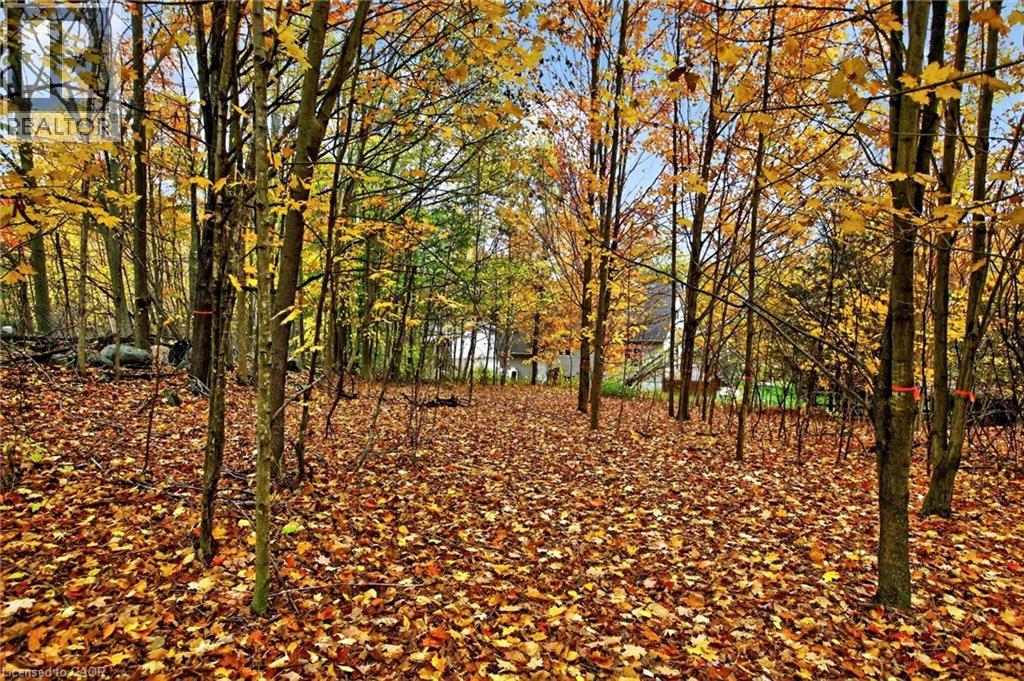 152b Wannamaker Road, Stirling, Ontario K0K 3E0 - Photo 45 - 40780502