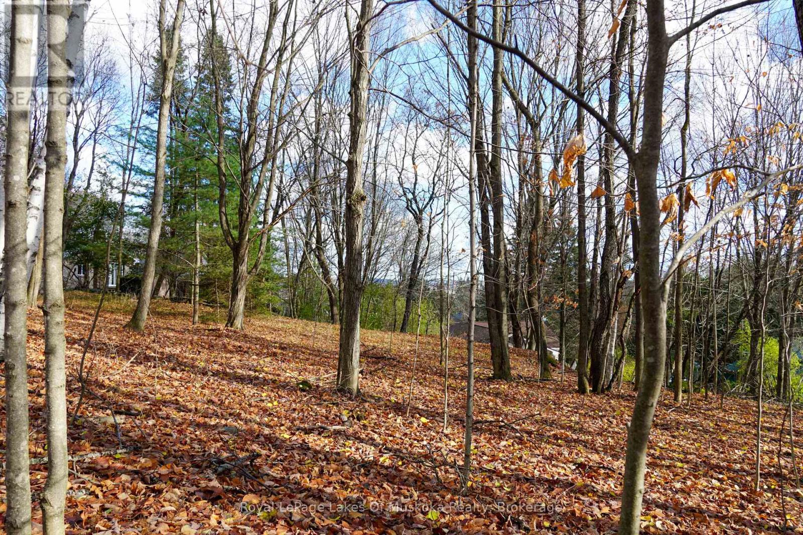 8 RICE LANE, Huntsville, Ontario