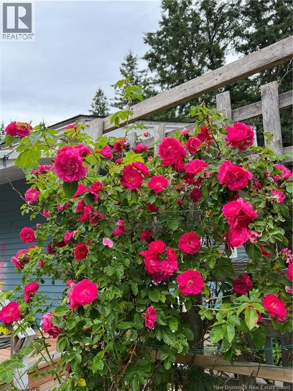 11594 Route 114, Springdale, New Brunswick  E4E 5M8 - Photo 46 - NB129574