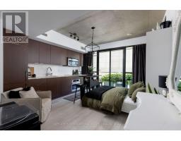 223 - 5 HANNA AVENUE, Toronto, Ontario