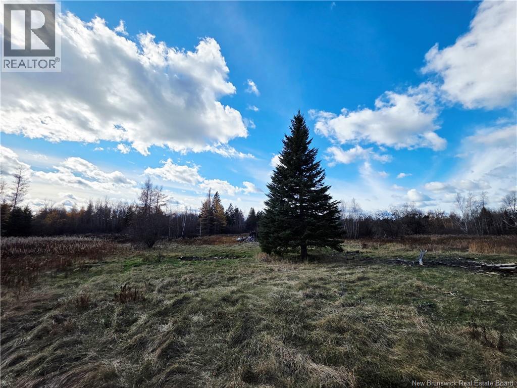Lot West Side, Harcourt, New Brunswick  E4T 2Y3 - Photo 3 - NB129785