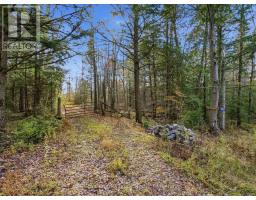 1087 STEPHENSON 2 ROAD W, Huntsville, Ontario