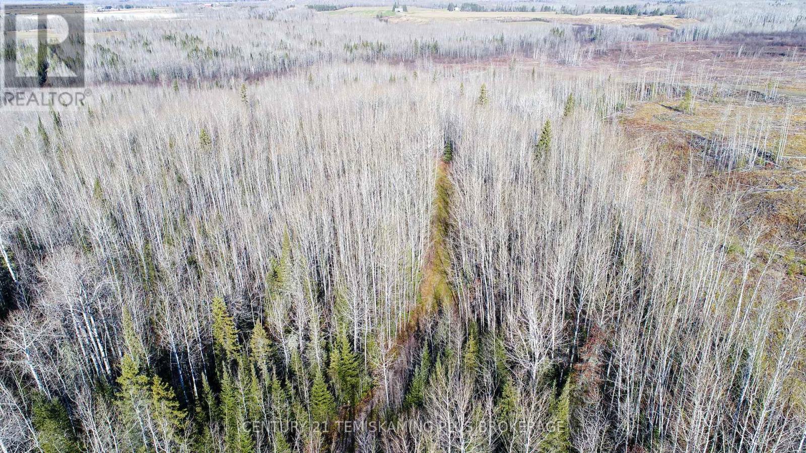 Pt 4 Cabin Road, Englehart, Ontario  P0J 1B0 - Photo 12 - T12524188