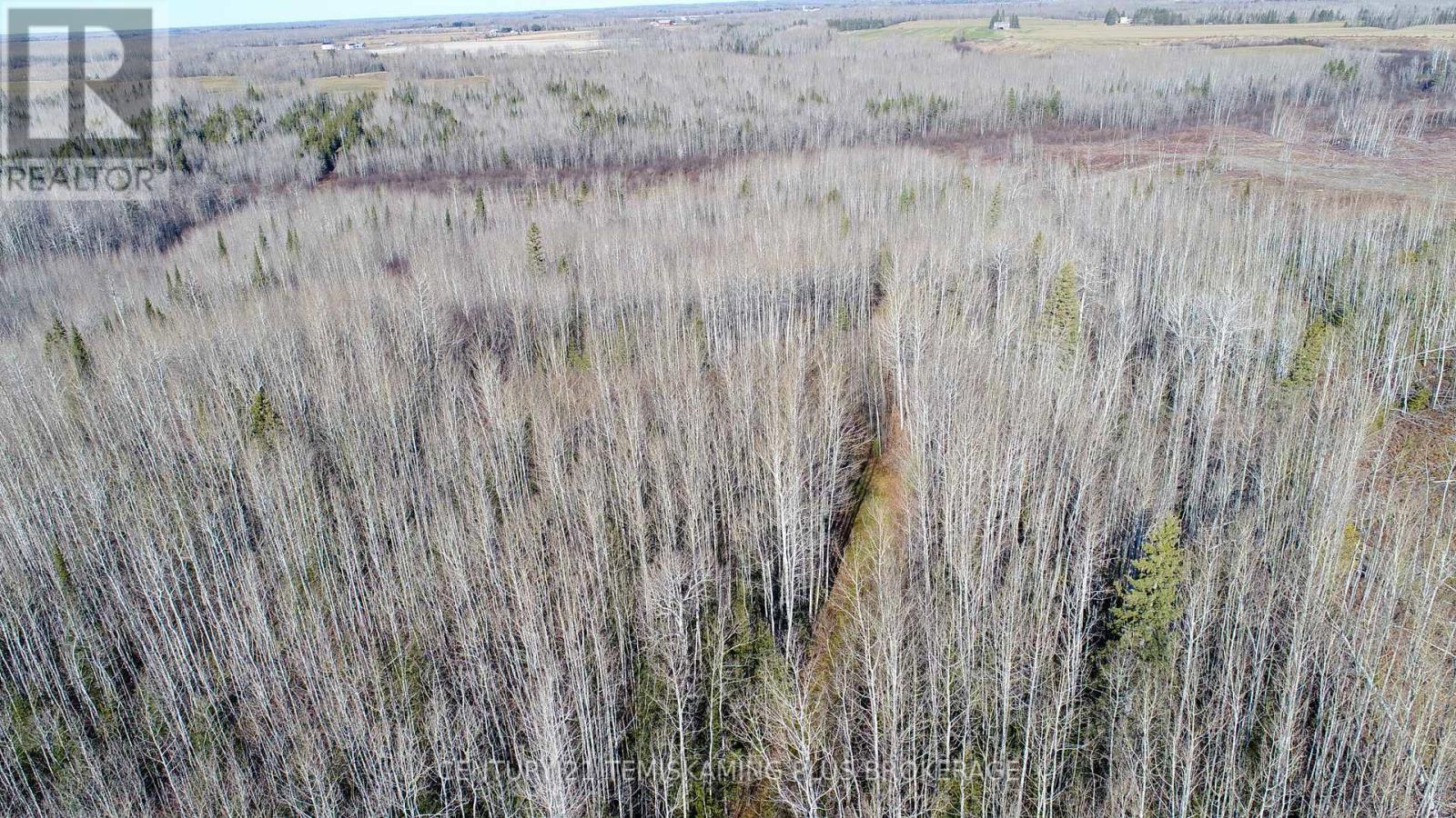 Pt 4 Cabin Road, Englehart, Ontario  P0J 1B0 - Photo 13 - T12524188