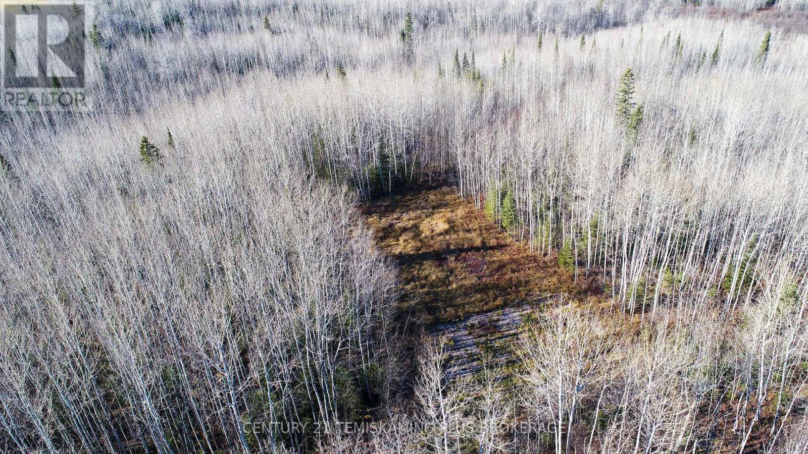 Pt 4 Cabin Road, Englehart, Ontario  P0J 1B0 - Photo 15 - T12524188