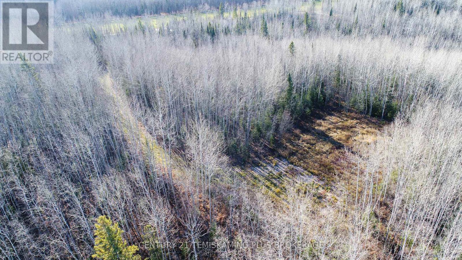 Pt 4 Cabin Road, Englehart, Ontario  P0J 1B0 - Photo 16 - T12524188