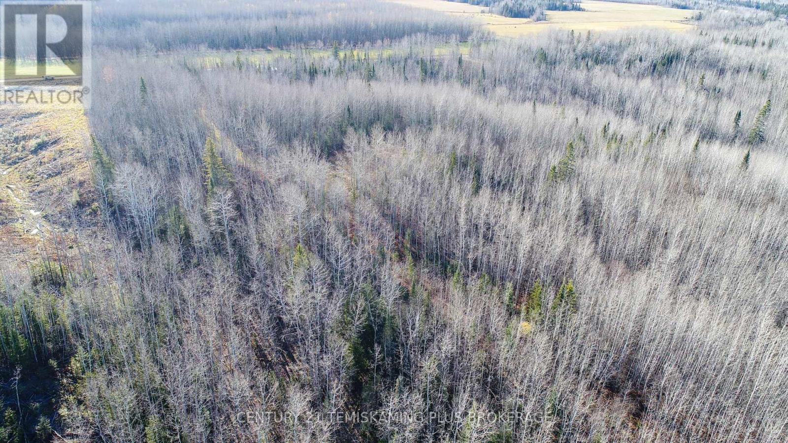 Pt 4 Cabin Road, Englehart, Ontario  P0J 1B0 - Photo 17 - T12524188