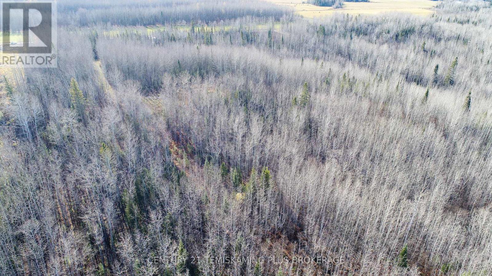 Pt 4 Cabin Road, Englehart, Ontario  P0J 1B0 - Photo 18 - T12524188