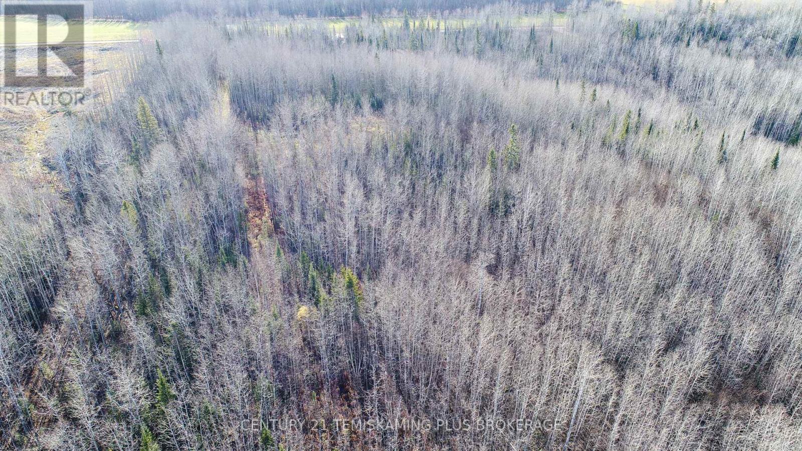 Pt 4 Cabin Road, Englehart, Ontario  P0J 1B0 - Photo 19 - T12524188