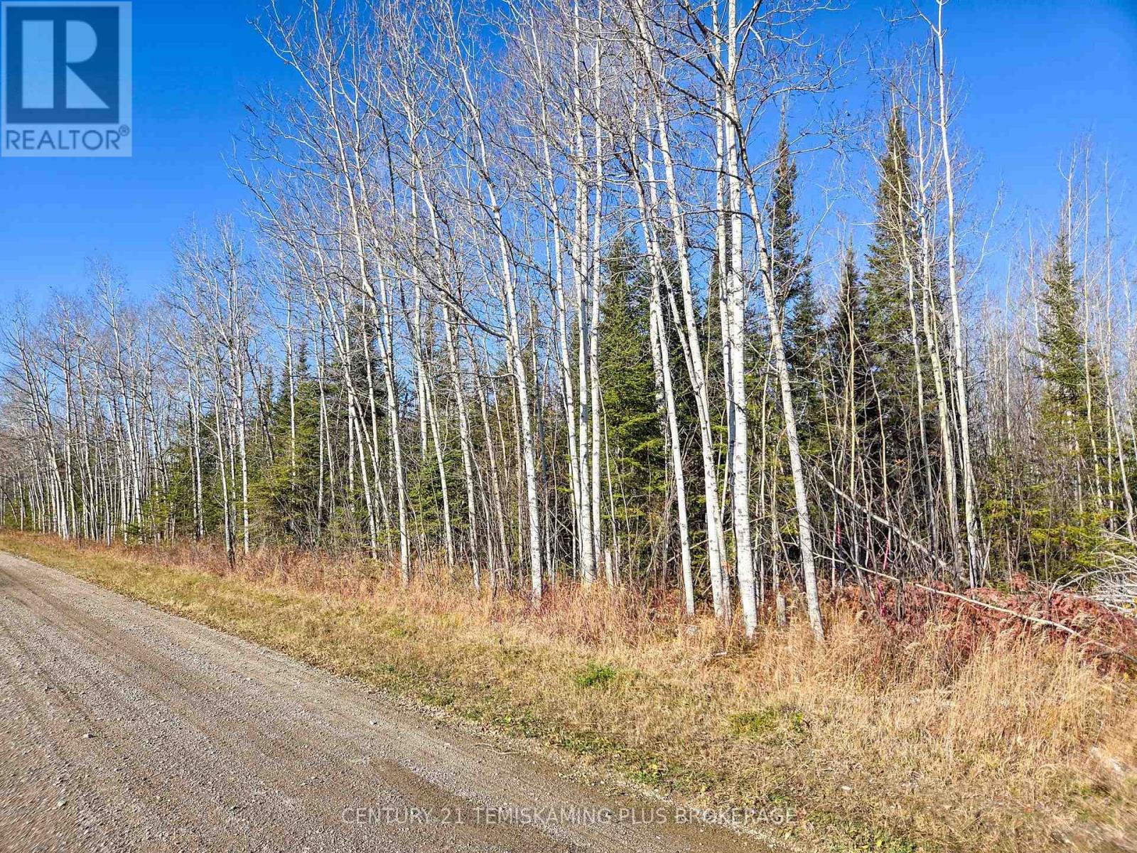 Pt 4 Cabin Road, Englehart, Ontario  P0J 1B0 - Photo 2 - T12524188