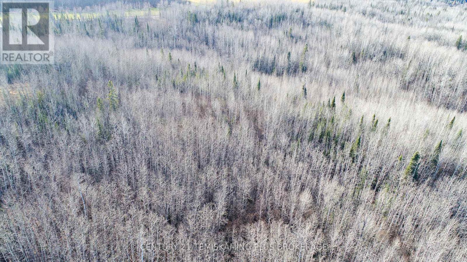 Pt 4 Cabin Road, Englehart, Ontario  P0J 1B0 - Photo 20 - T12524188