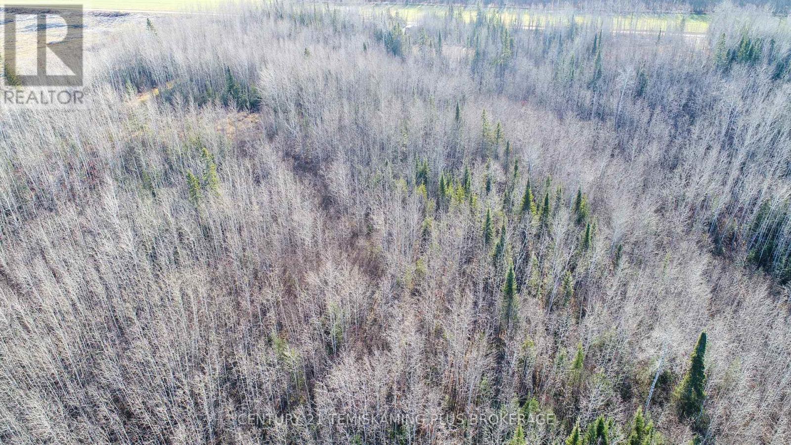 Pt 4 Cabin Road, Englehart, Ontario  P0J 1B0 - Photo 21 - T12524188