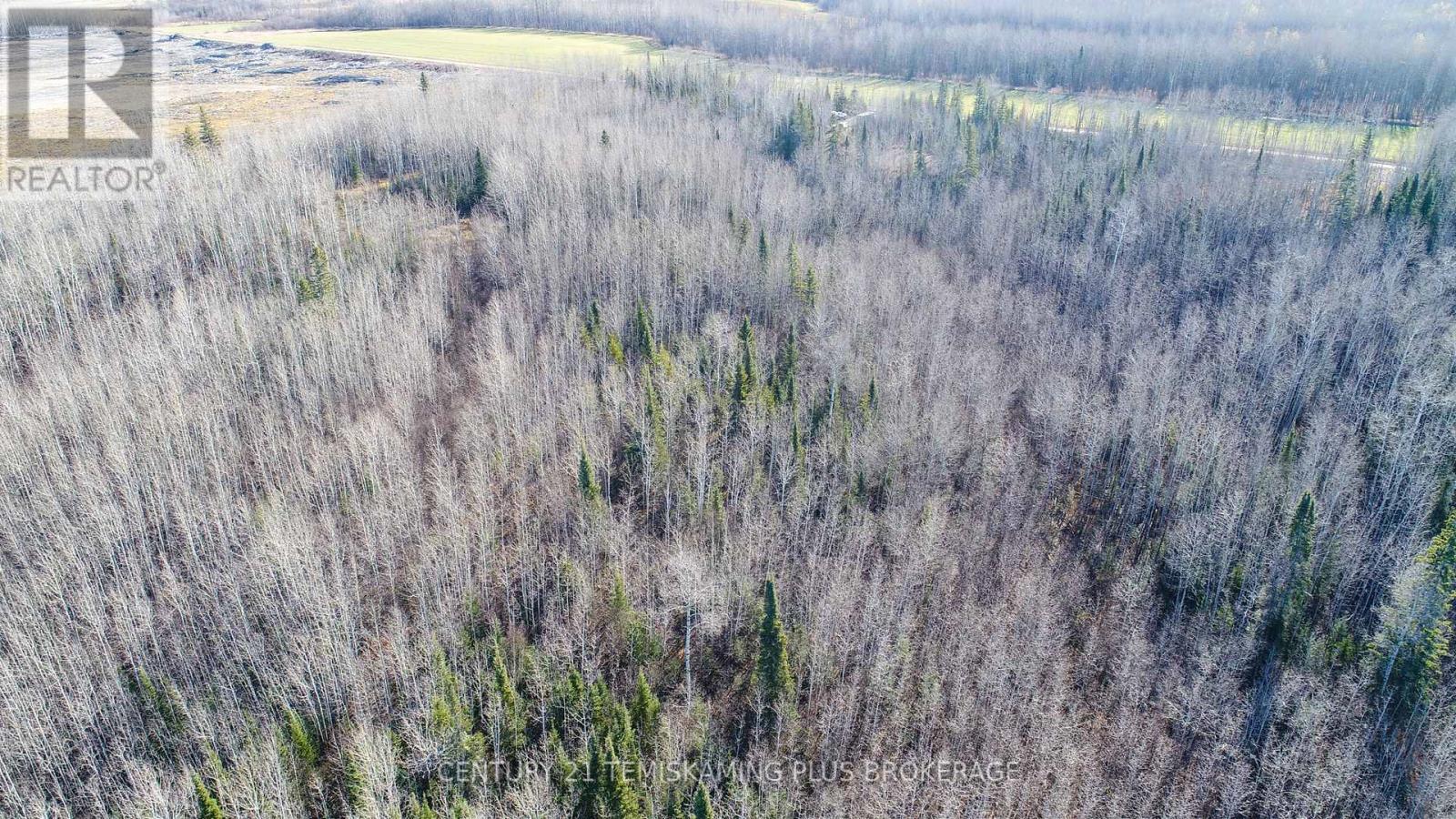 Pt 4 Cabin Road, Englehart, Ontario  P0J 1B0 - Photo 22 - T12524188