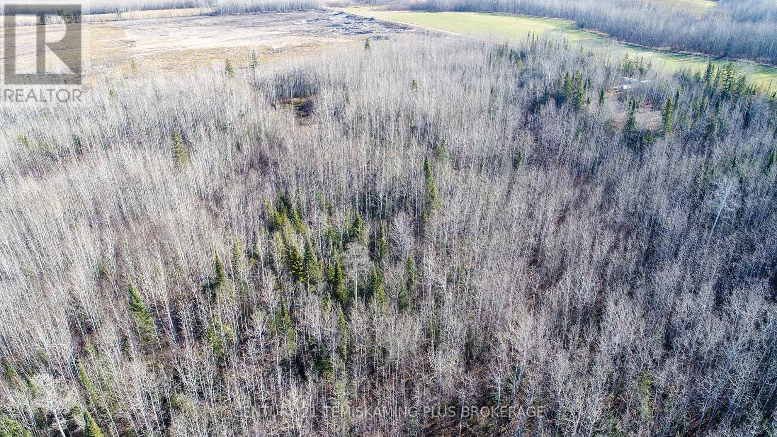 Pt 4 Cabin Road, Englehart, Ontario  P0J 1B0 - Photo 23 - T12524188