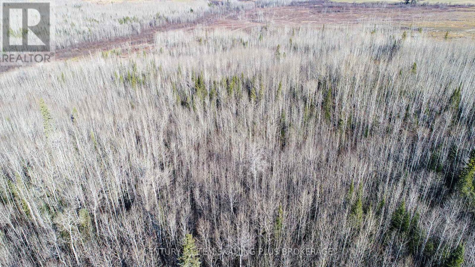 Pt 4 Cabin Road, Englehart, Ontario  P0J 1B0 - Photo 24 - T12524188