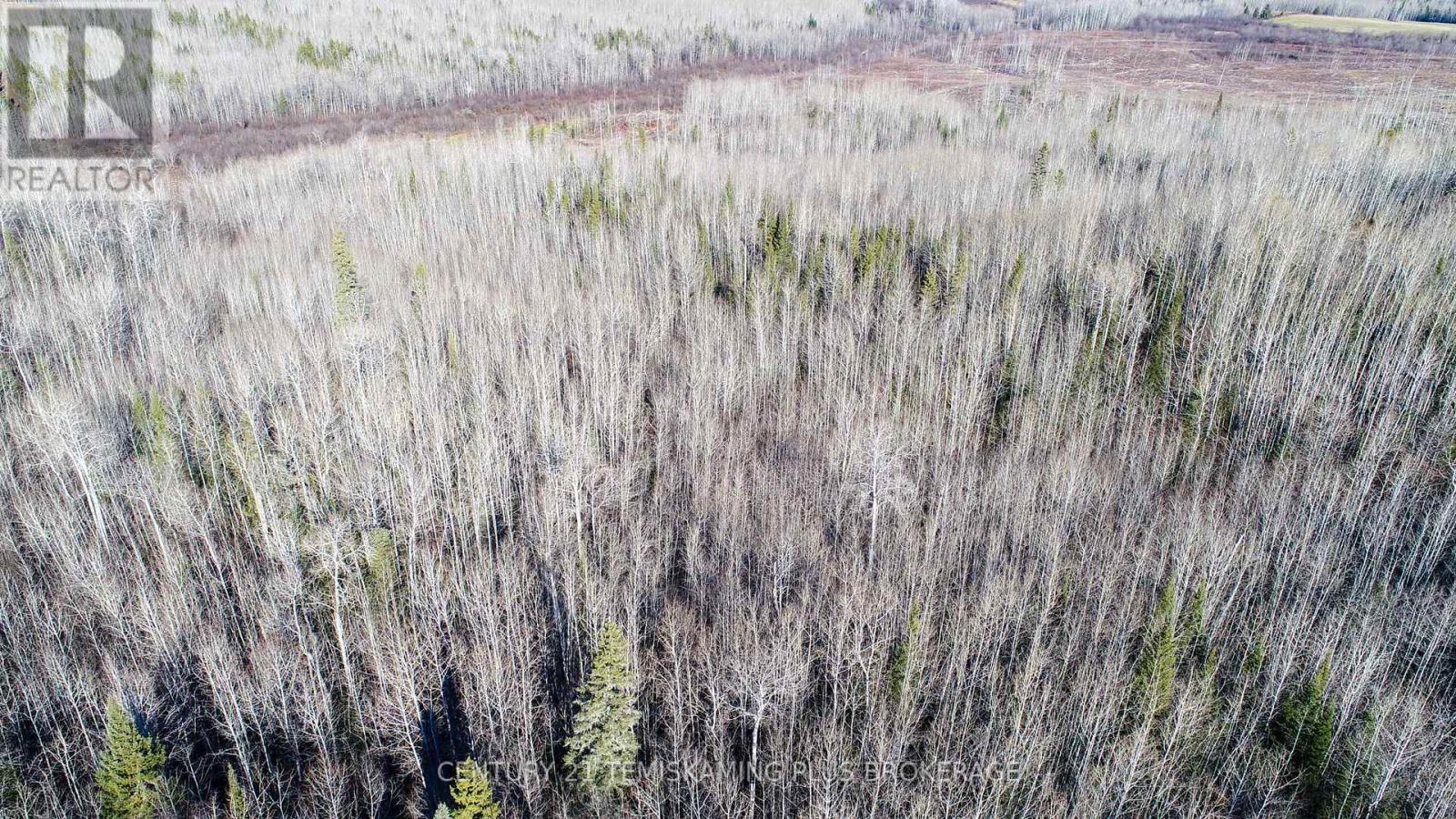 Pt 4 Cabin Road, Englehart, Ontario  P0J 1B0 - Photo 25 - T12524188