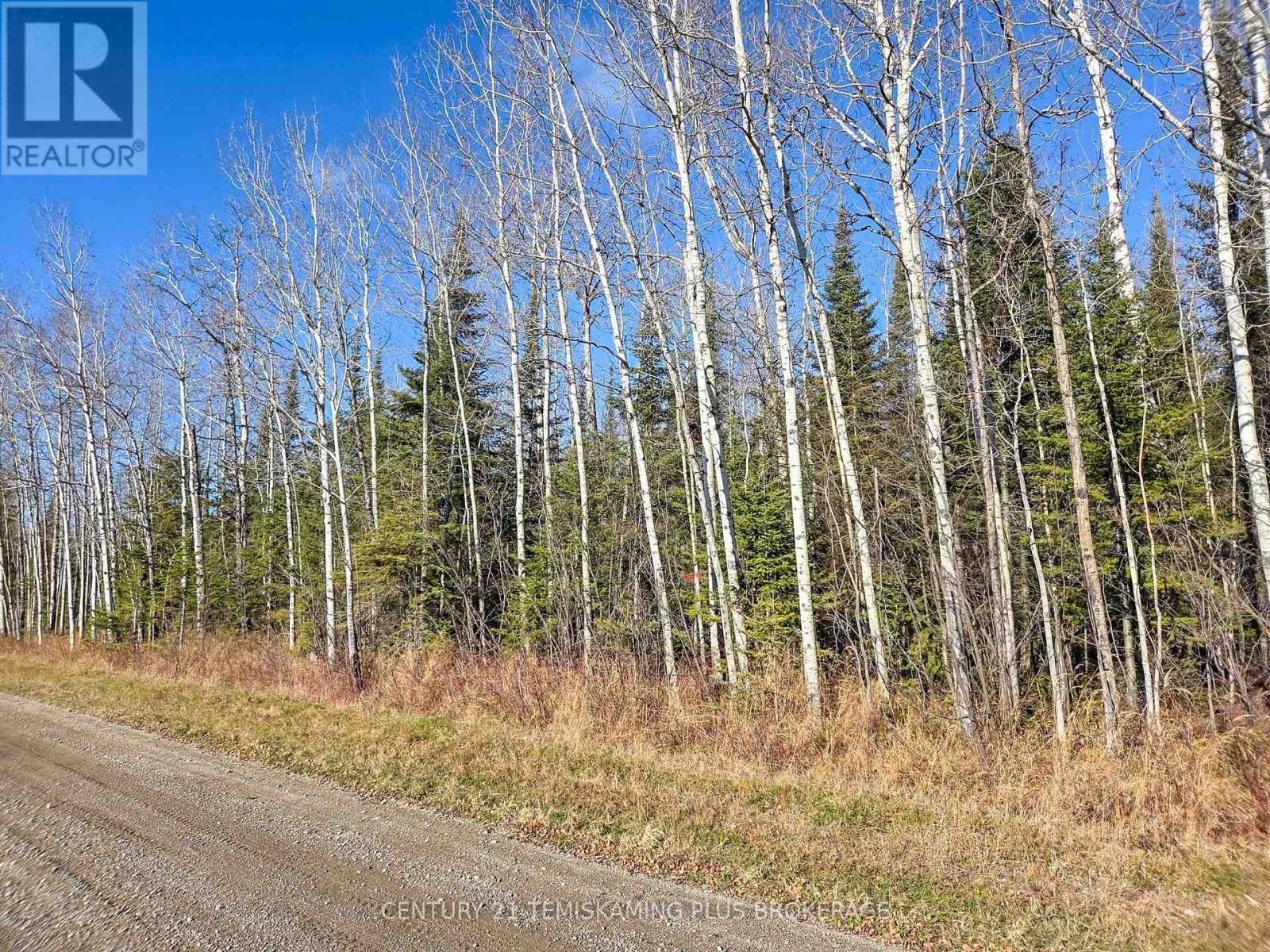 Pt 4 Cabin Road, Englehart, Ontario  P0J 1B0 - Photo 3 - T12524188