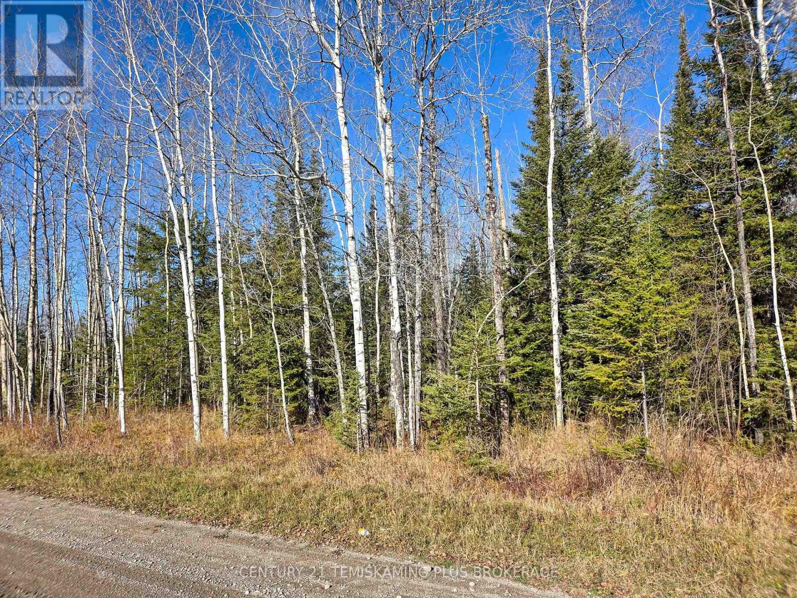 Pt 4 Cabin Road, Englehart, Ontario  P0J 1B0 - Photo 4 - T12524188