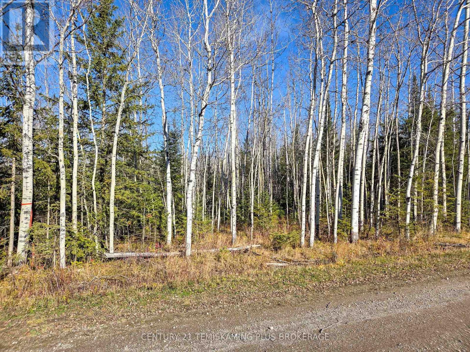 Pt 4 Cabin Road, Englehart, Ontario  P0J 1B0 - Photo 5 - T12524188