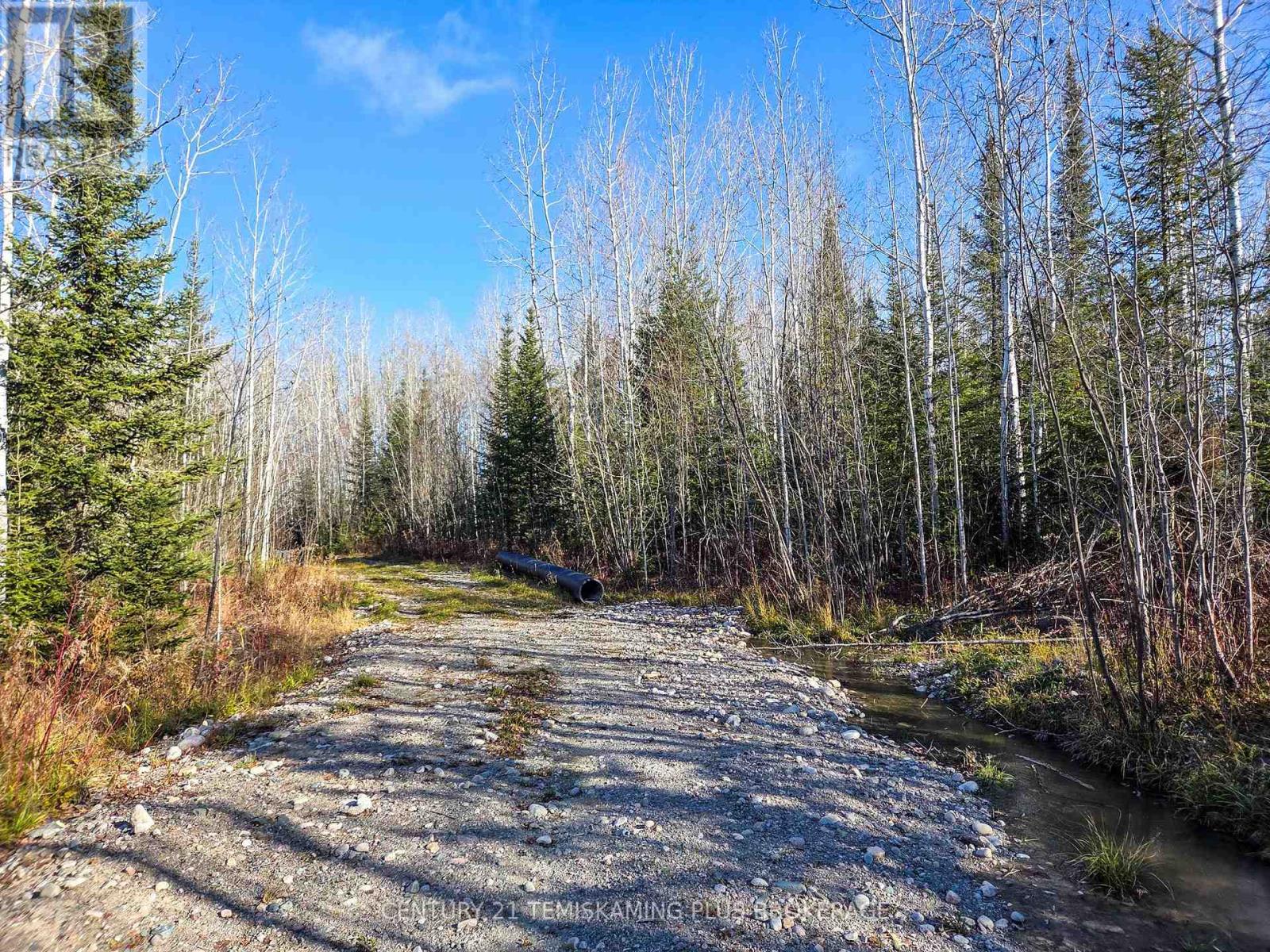 Pt 4 Cabin Road, Englehart, Ontario  P0J 1B0 - Photo 6 - T12524188