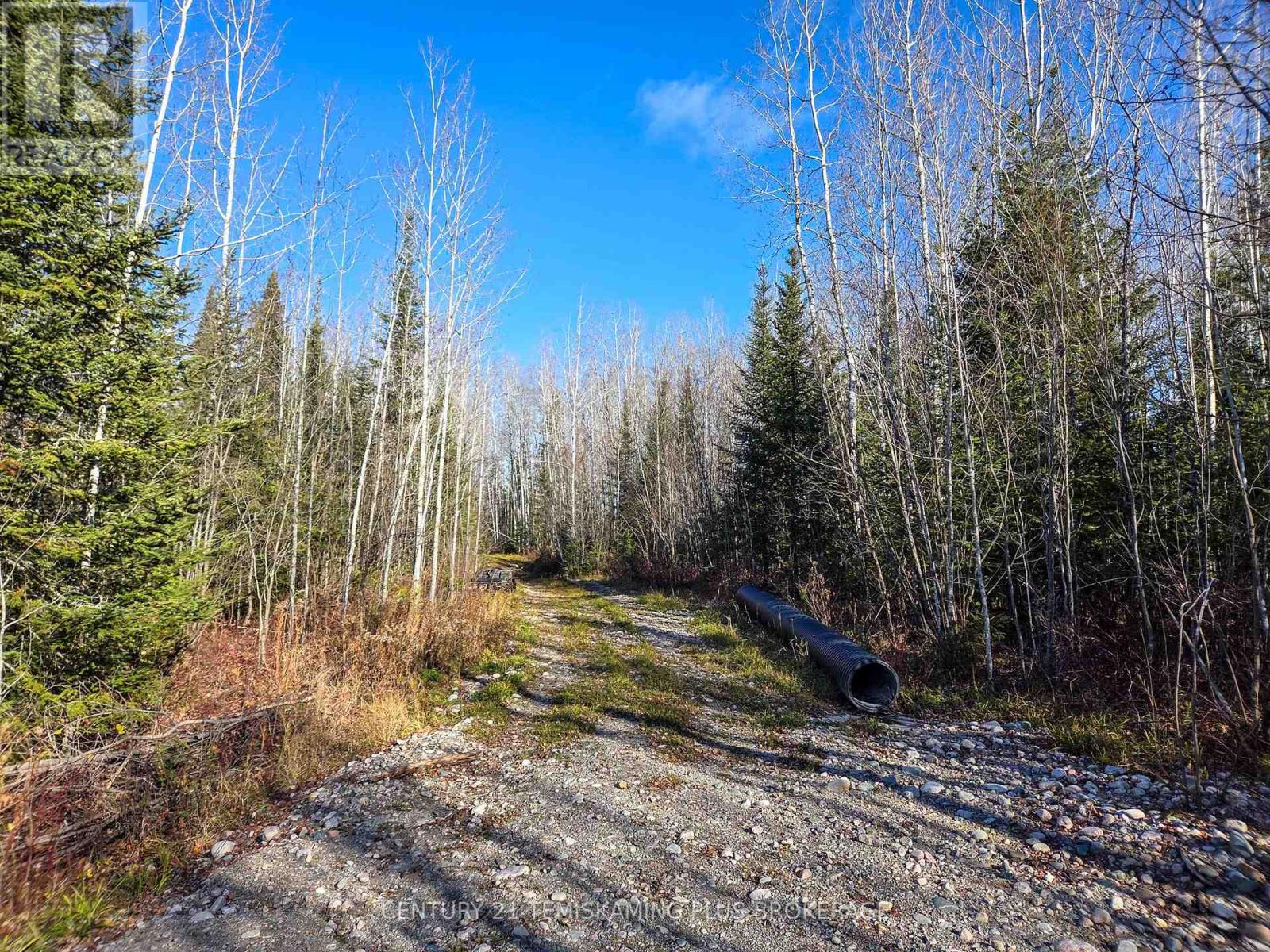 Pt 4 Cabin Road, Englehart, Ontario  P0J 1B0 - Photo 7 - T12524188