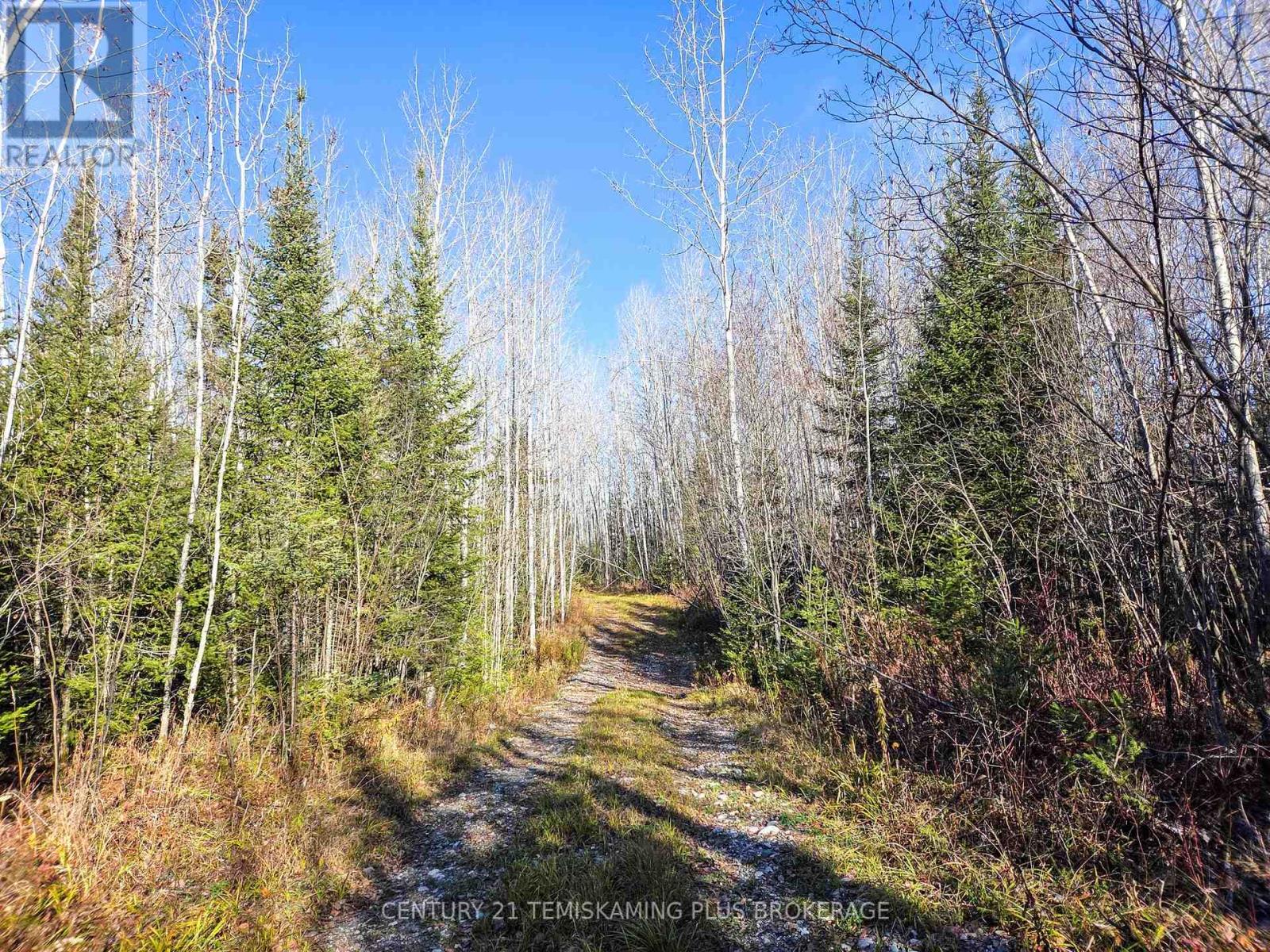 Pt 4 Cabin Road, Englehart, Ontario  P0J 1B0 - Photo 8 - T12524188