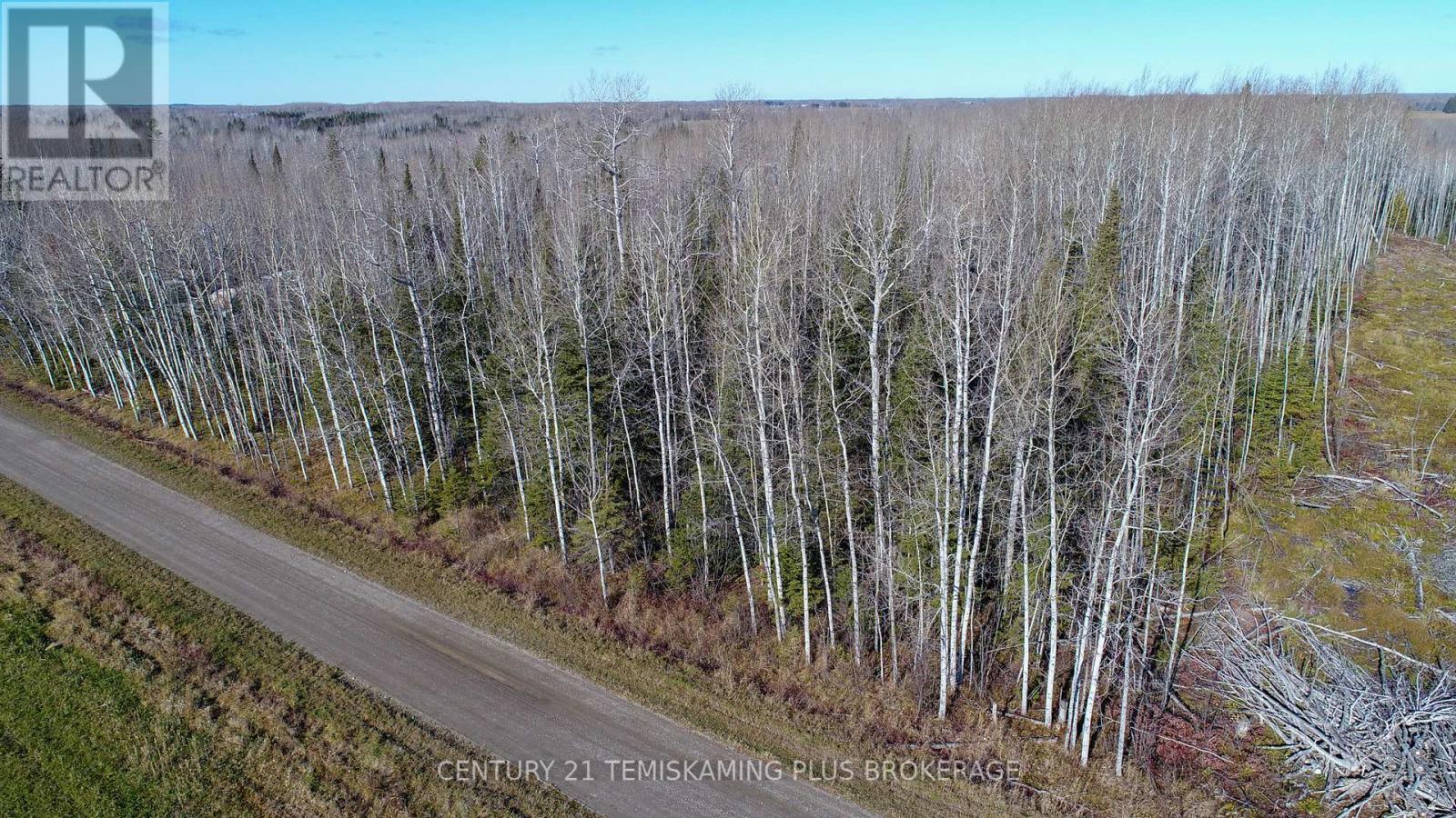 Pt 4 Cabin Road, Englehart, Ontario  P0J 1B0 - Photo 9 - T12524188