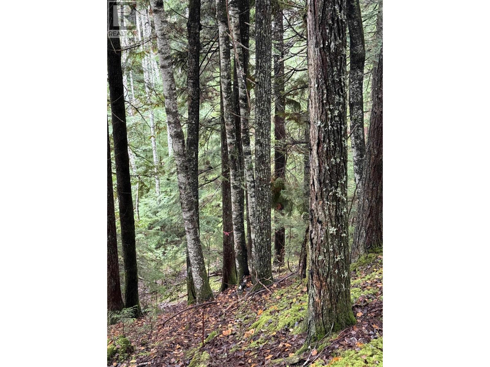 16398 16 Highway, Terrace, British Columbia V8G 0A6 - Photo 38 - R3065712