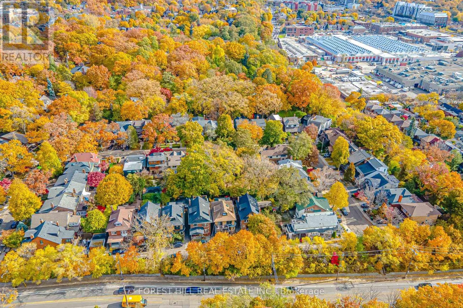 91 Braemore Gardens, Toronto, Ontario  M6G 2C7 - Photo 49 - C12524268