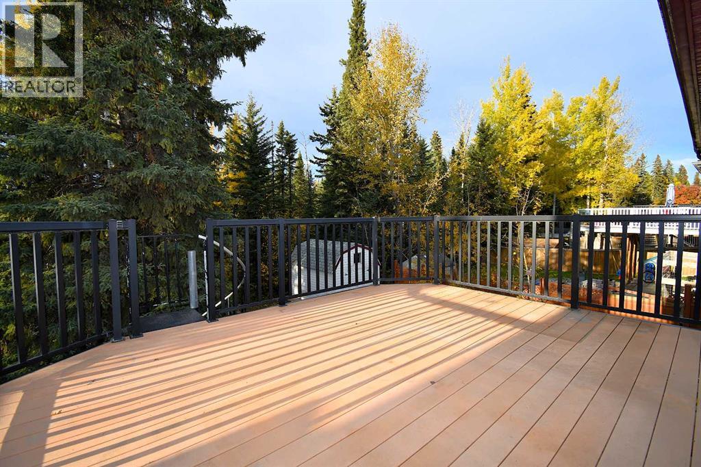 309 Eaton Drive, Hinton, Alberta  T7V 1Y5 - Photo 40 - A2263626