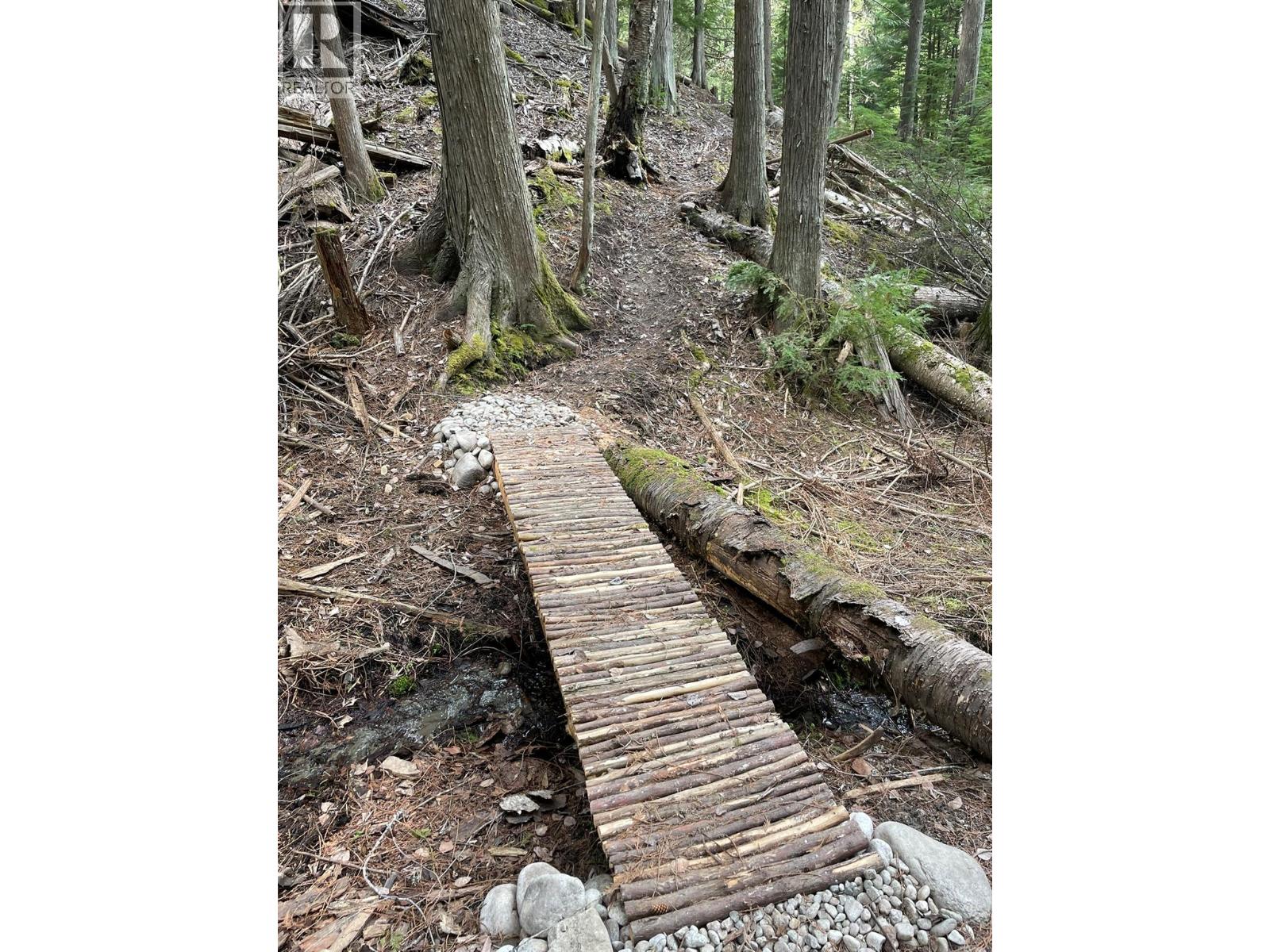 4144 Passmore Upper Road, Winlaw, British Columbia  V0G 1M0 - Photo 5 - 10346919