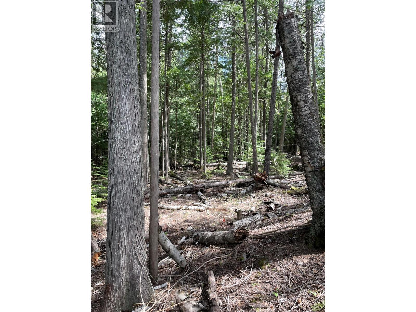 4144 Passmore Upper Road, Winlaw, British Columbia  V0G 1M0 - Photo 15 - 10346919