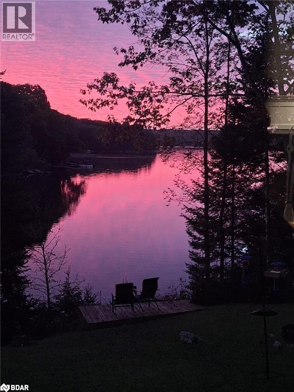 1017 Rays Lane, Minden, Ontario K0M 2K0 - Photo 5 - 40786735