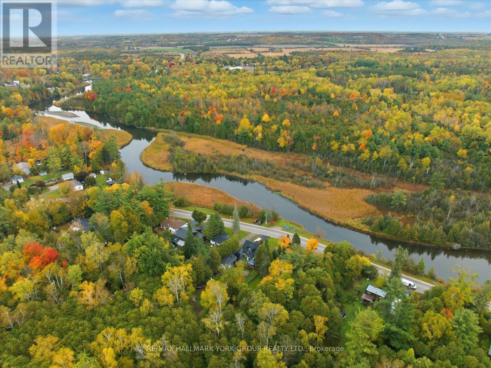 32 Station Road, Georgina, Ontario  L0E 1N0 - Photo 29 - N12524402