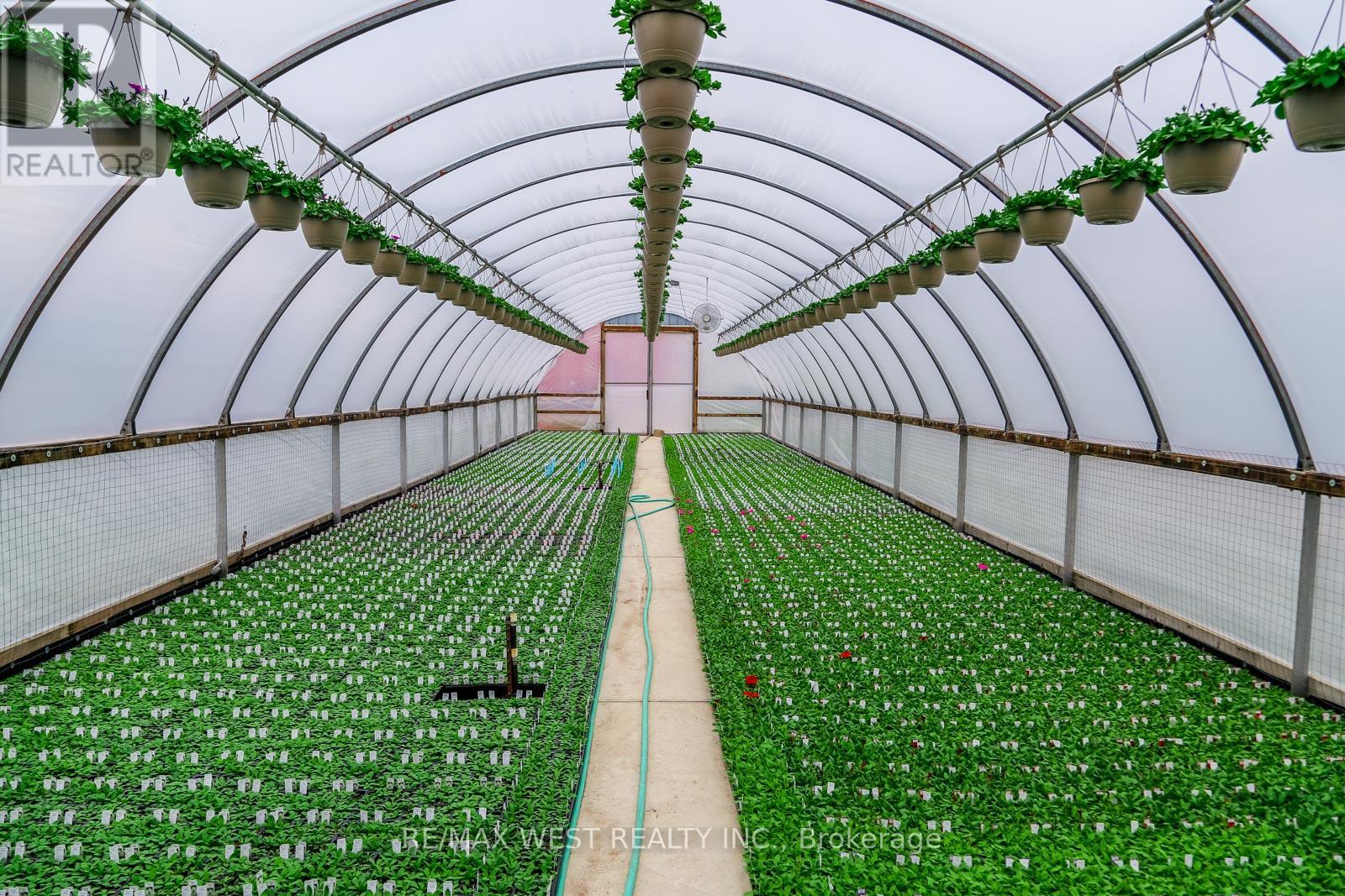 11871 Cold Creek Road, Vaughan, Ontario  L0J 1C0 - Photo 8 - N12524432