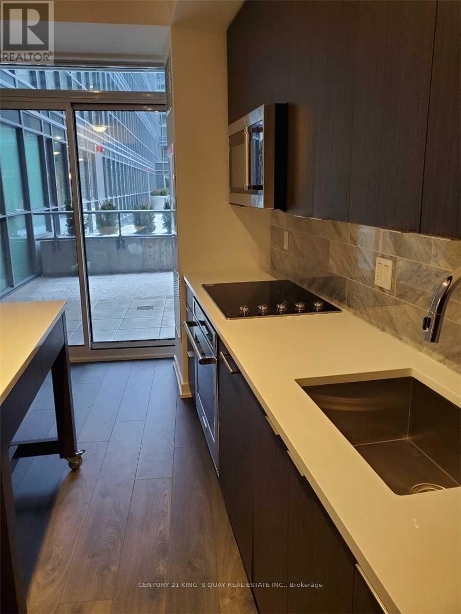 311 - 38 Iannuzzi Street, Toronto, Ontario  M5V 0S2 - Photo 8 - C12524482