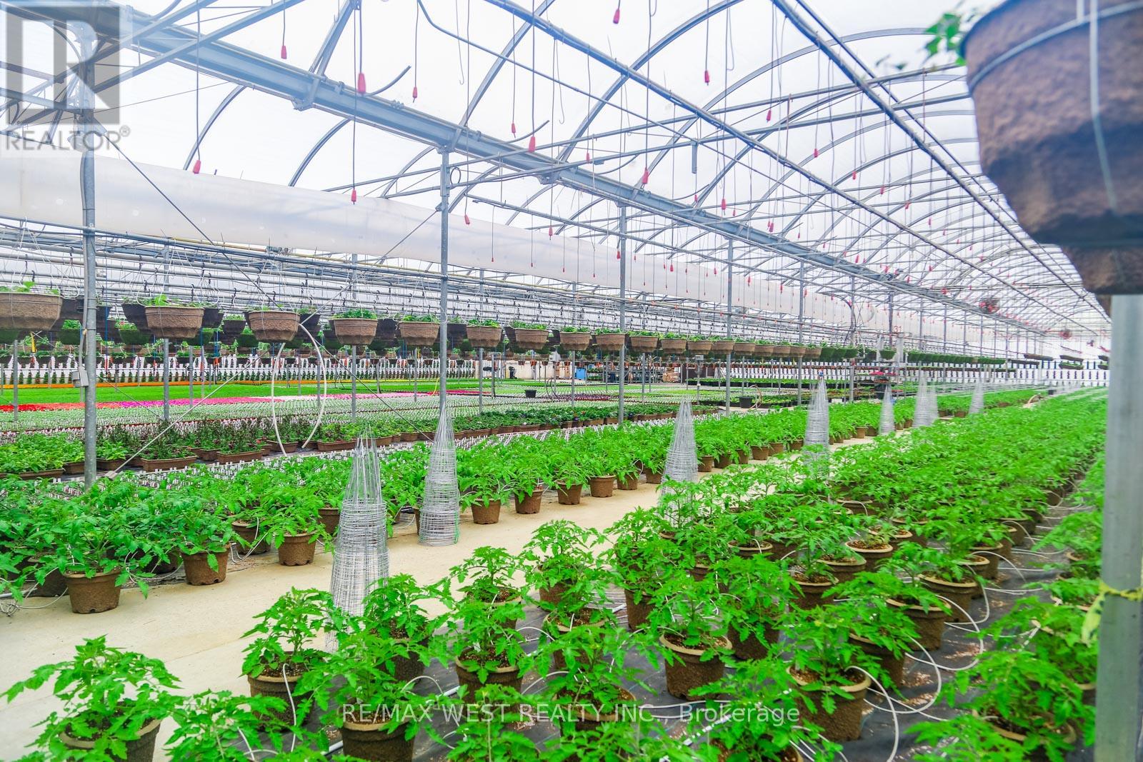 11871 Cold Creek Road, Vaughan, Ontario  L0J 1C0 - Photo 17 - N12524470