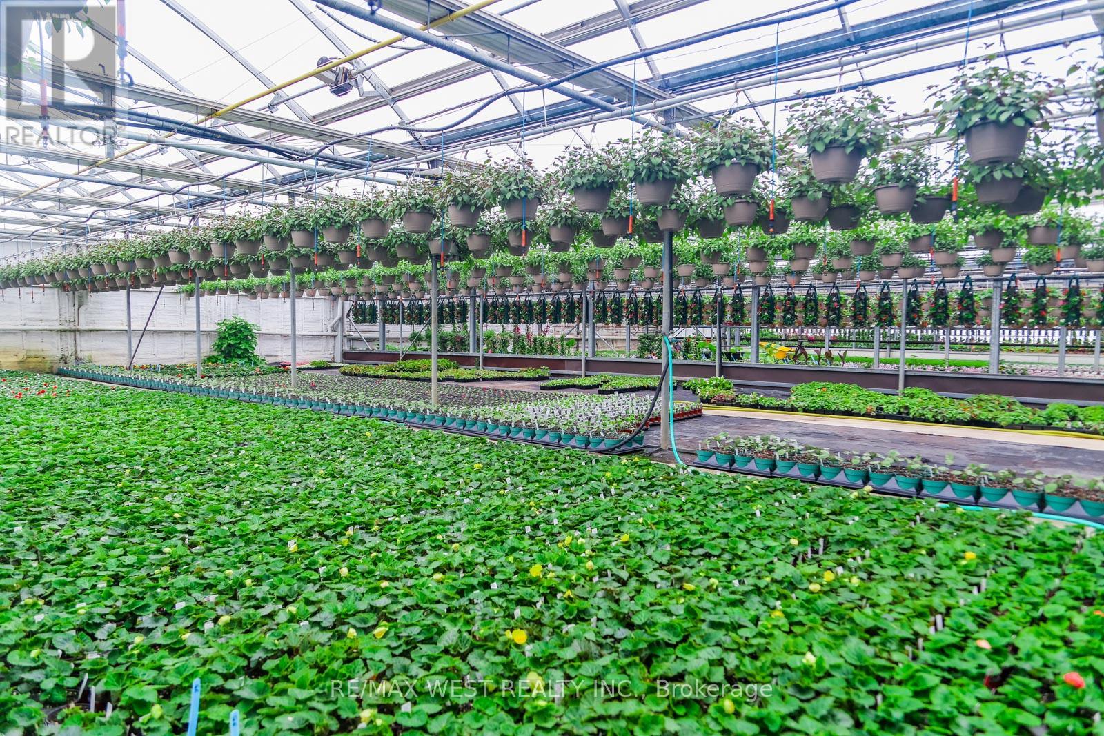 11871 Cold Creek Road, Vaughan, Ontario  L0J 1C0 - Photo 19 - N12524470