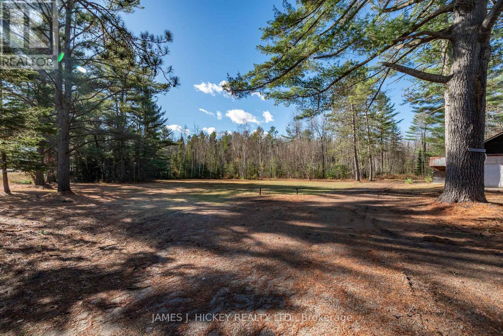 32359 Hwy 17 Highway, Laurentian Hills, Ontario  K0J 1P0 - Photo 25 - X12524560