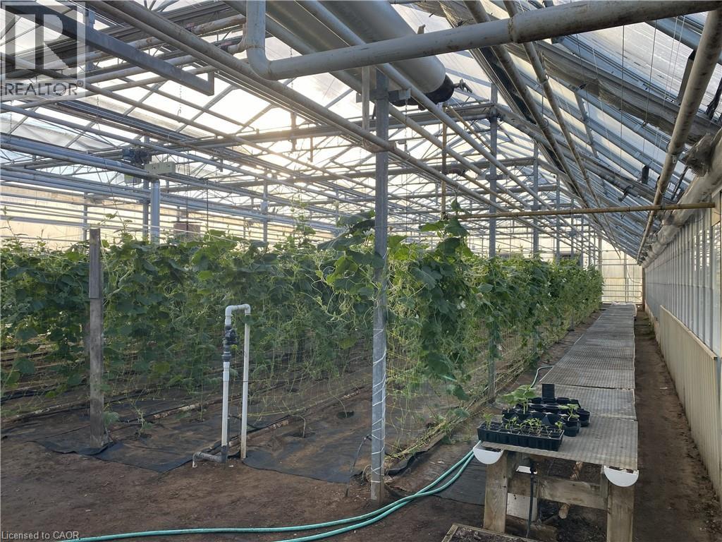 5226 Greenlane Road, Beamsville, Ontario L0R 1B3 - Photo 11 - 40786760