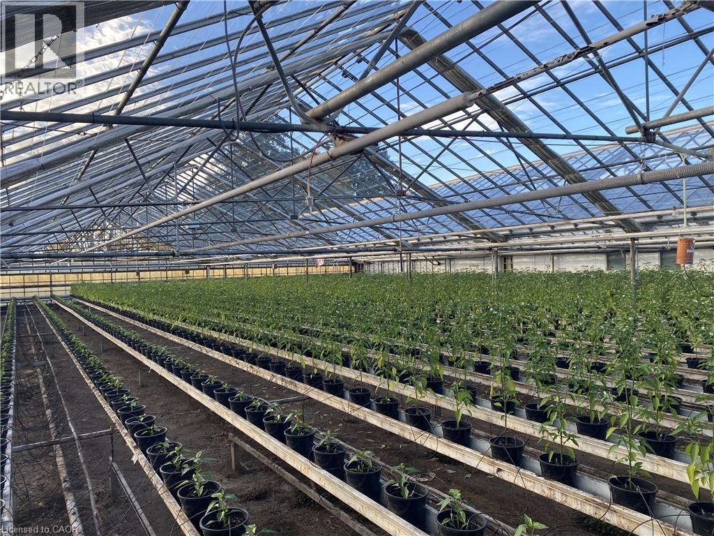 5226 Greenlane Road, Beamsville, Ontario L0R 1B3 - Photo 14 - 40786760