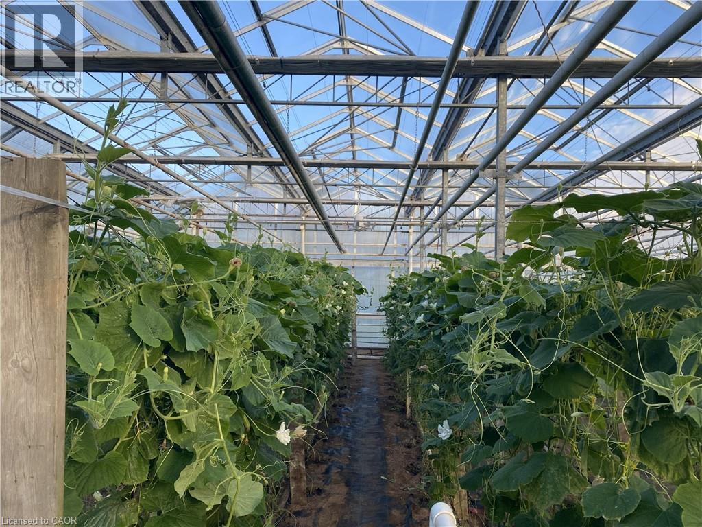 5226 Greenlane Road, Beamsville, Ontario L0R 1B3 - Photo 15 - 40786760