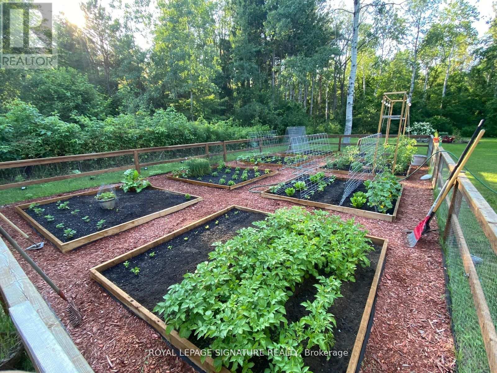 6554 9th Line, New Tecumseth, Ontario  L0G 1A0 - Photo 33 - N12515876