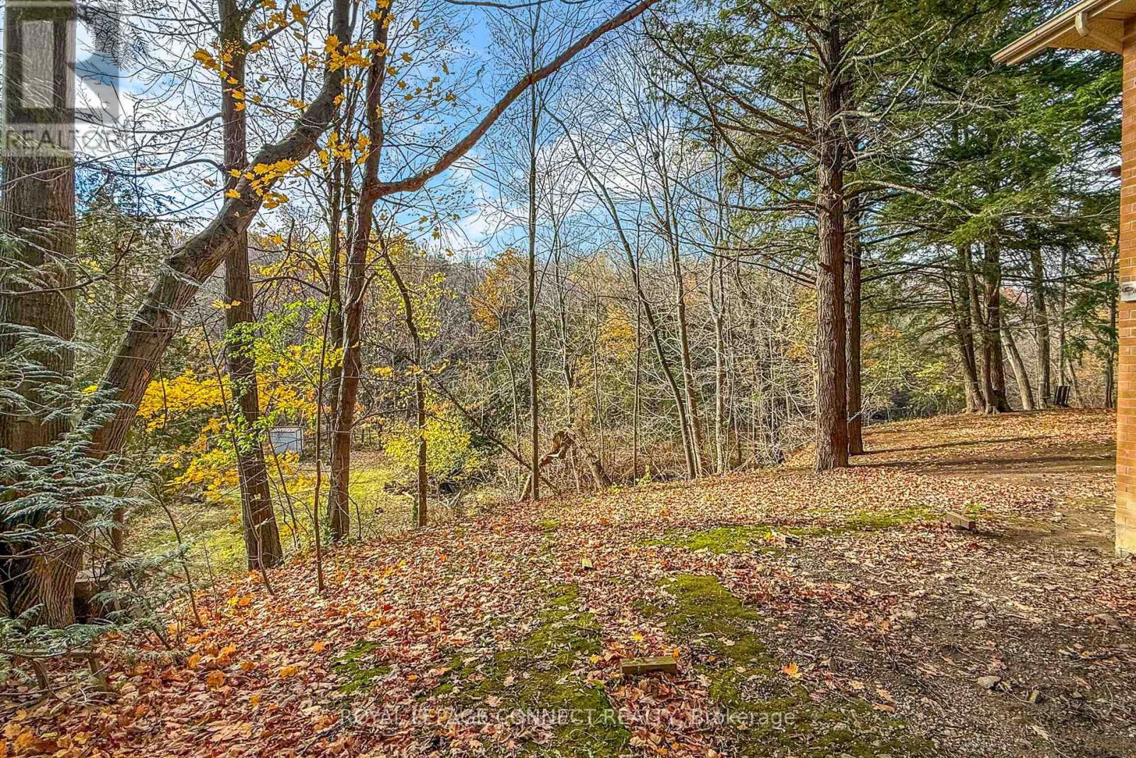 1436 Highbush Trail, Pickering, Ontario  L1V 1N5 - Photo 36 - E12524582