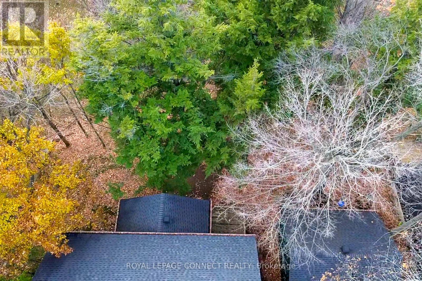 1436 Highbush Trail, Pickering, Ontario  L1V 1N5 - Photo 37 - E12524582