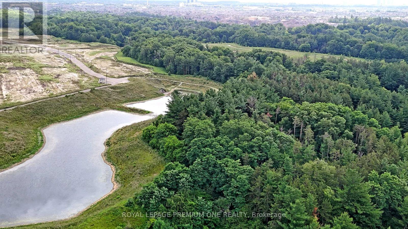 104 Greville Street, Vaughan, Ontario  L4H 4P7 - Photo 5 - N12524596