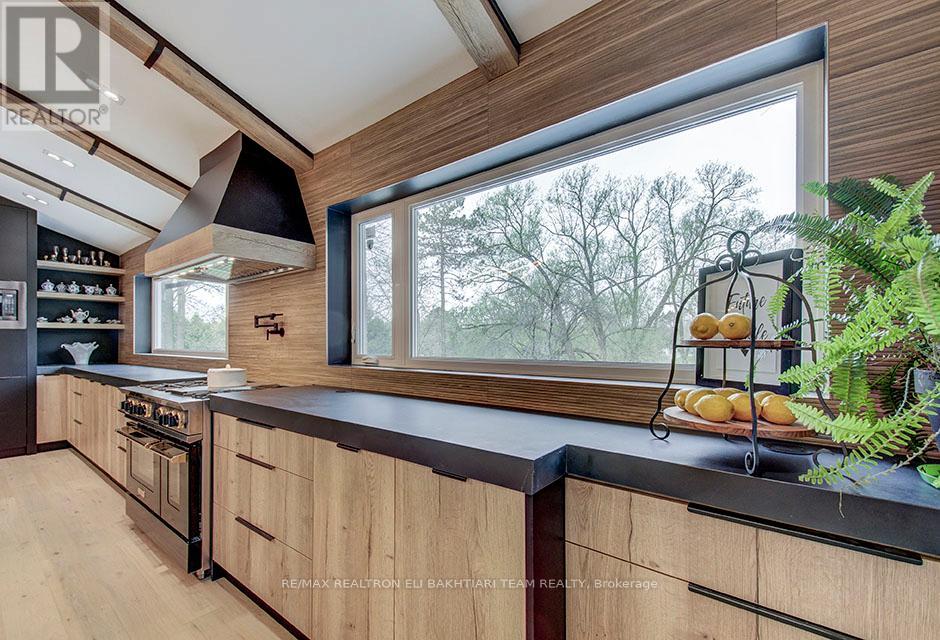 56 Cynthia Crescent, Richmond Hill, Ontario  L4E 2P9 - Photo 13 - N12524678